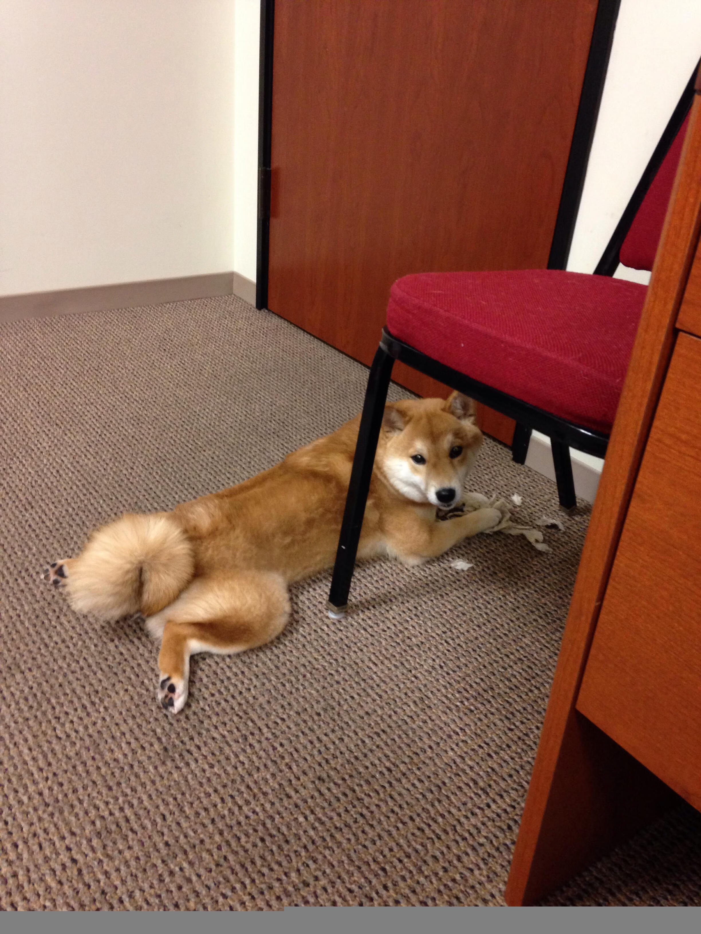 九游APP官网-“法甲历史性战役，豪门巅峰激烈角逐”，法甲战况