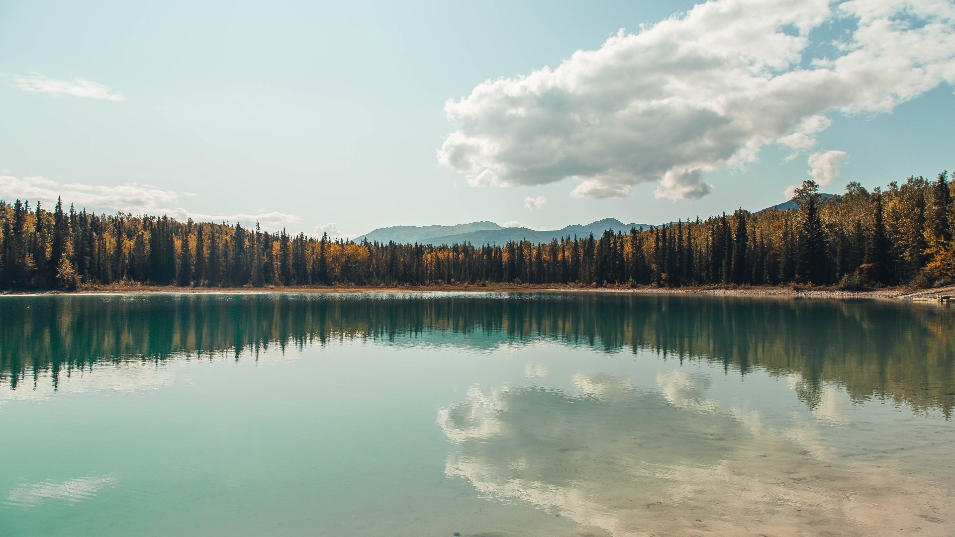 “研究分析:不同球队的战术风格大比拼”,nba球队战术图解