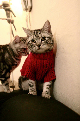 【运动员成长】从青训营走向世界冠军的蜕变,青训选手有工资吗