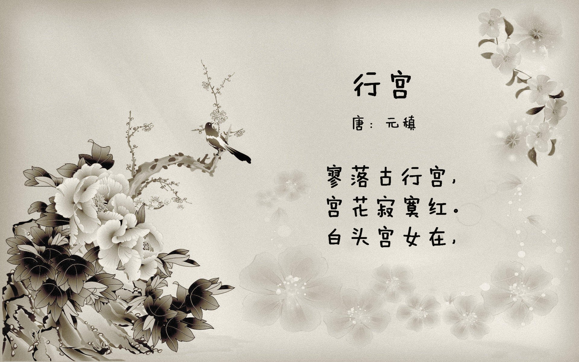 伊朗队中场罗德里格斯在巴黎奥运会上展现出强大的组织能力,伊朗总统内甲德