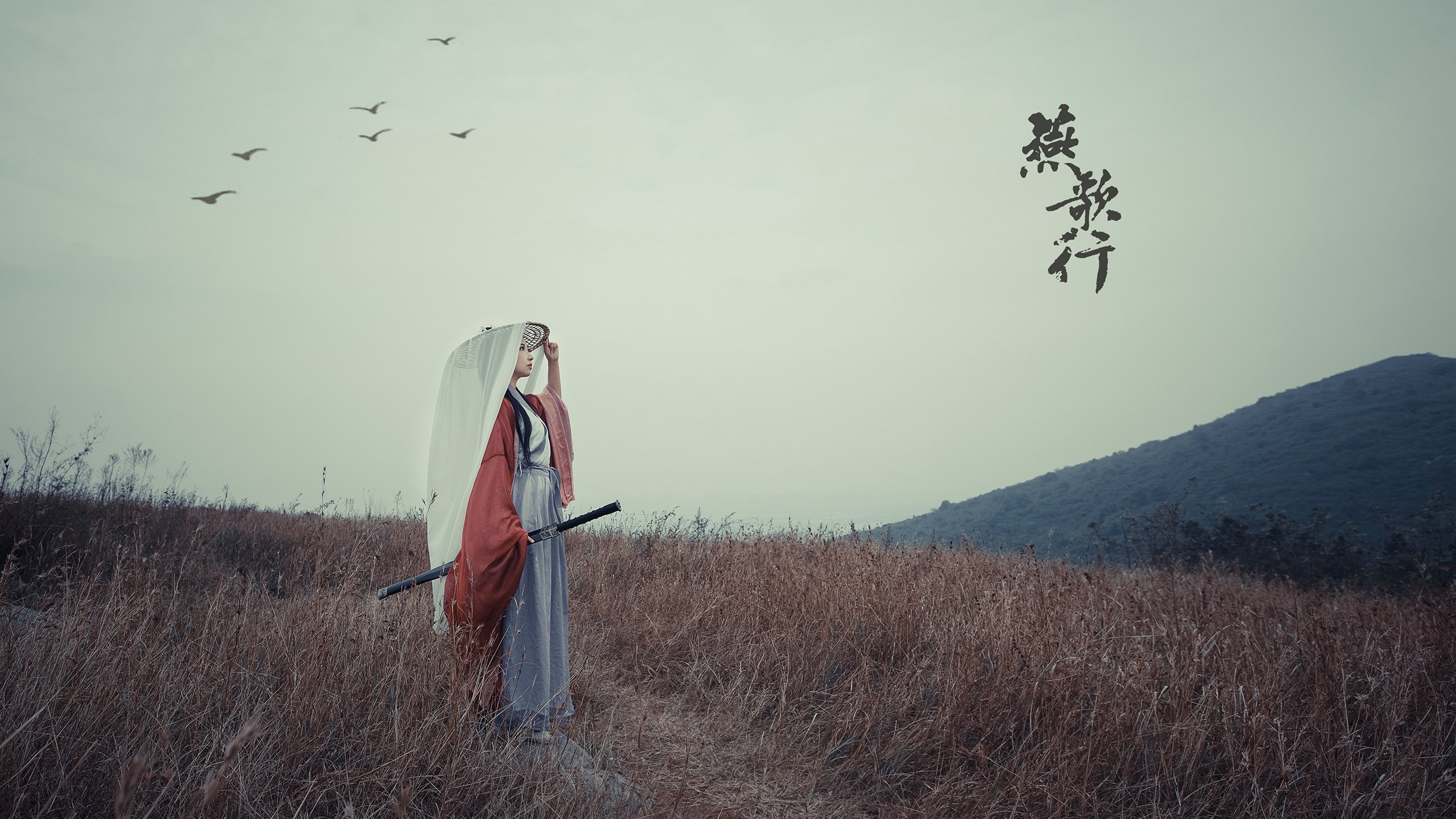 全面升级的安全措施:保障车手生命,确保车辆安全运行