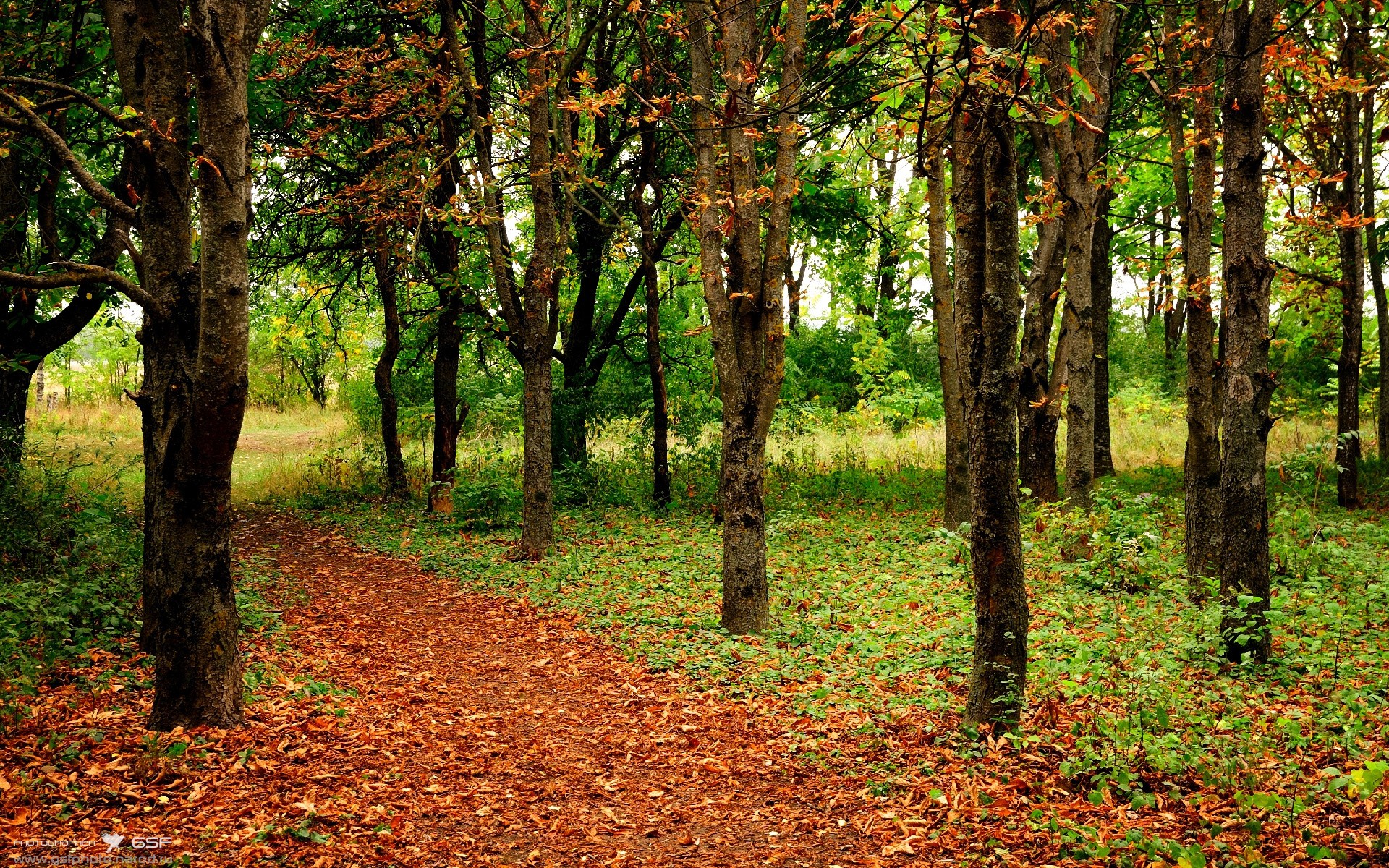 威少替补席爆发，带动快船反击节奏，威少在nba打过替补吗