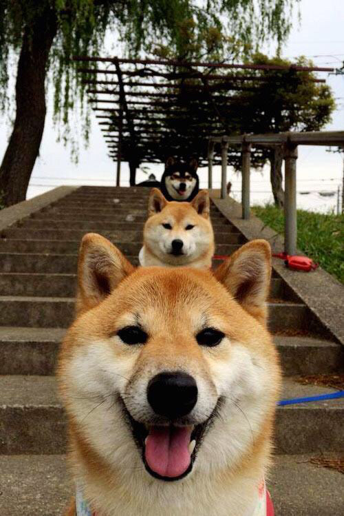 极限悬崖跳水：水花溅起的勇气瞬间，悬崖跳水什么电影