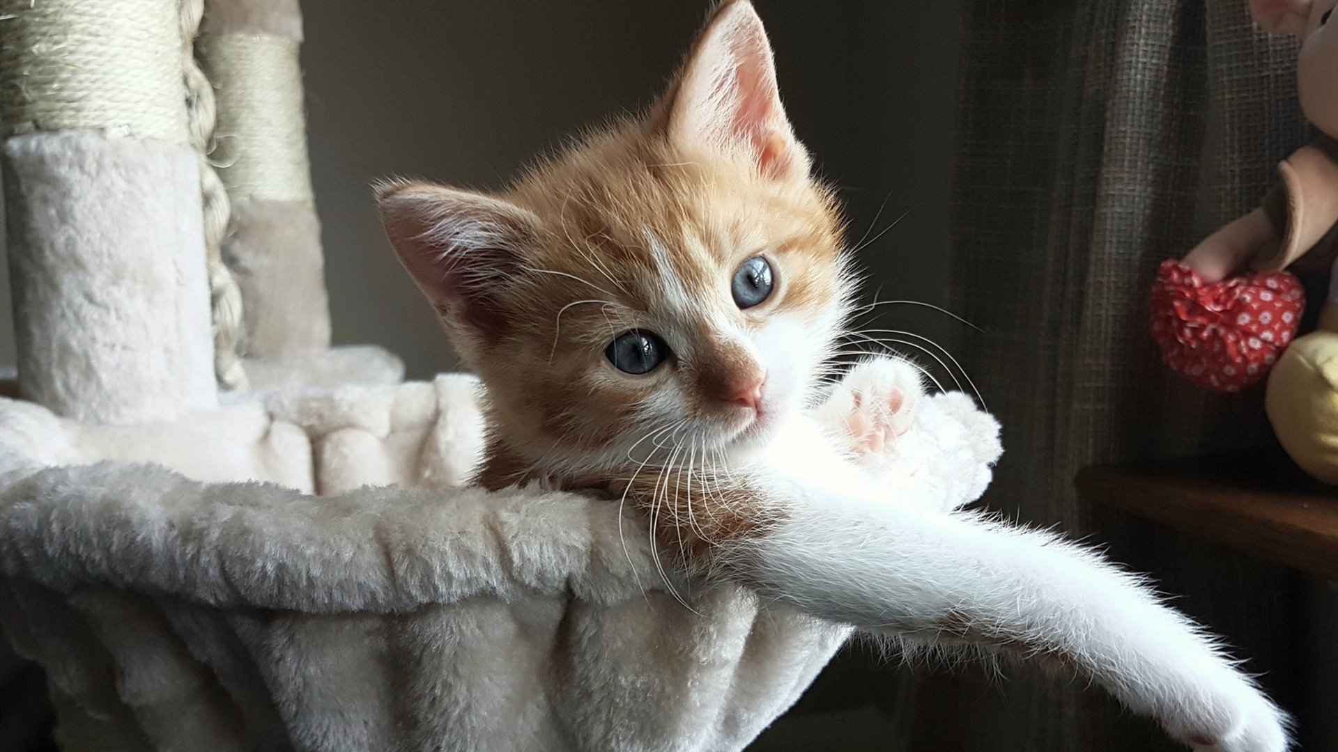 九游登录入口-赛事路线规划：巡回赛带来多站精彩对决，巡回赛总决赛直播