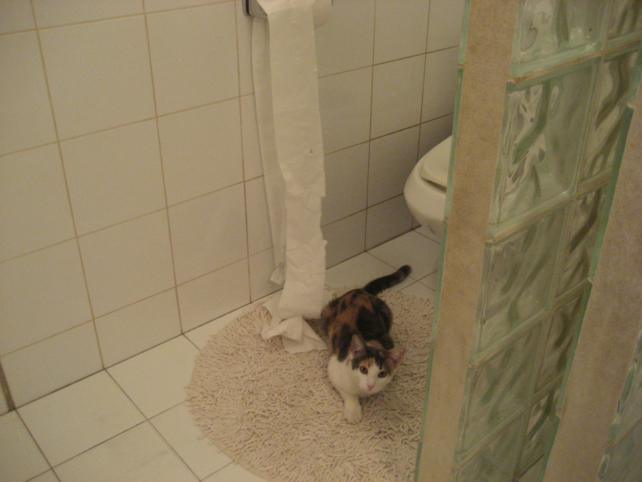 赛事路线规划：巡回赛带来多站精彩对决，巡回赛总决赛直播