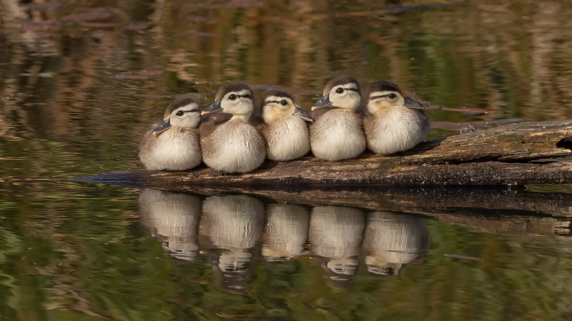 赛事日历：2025年度重点赛事盘点，2020年有哪些大型赛事活动