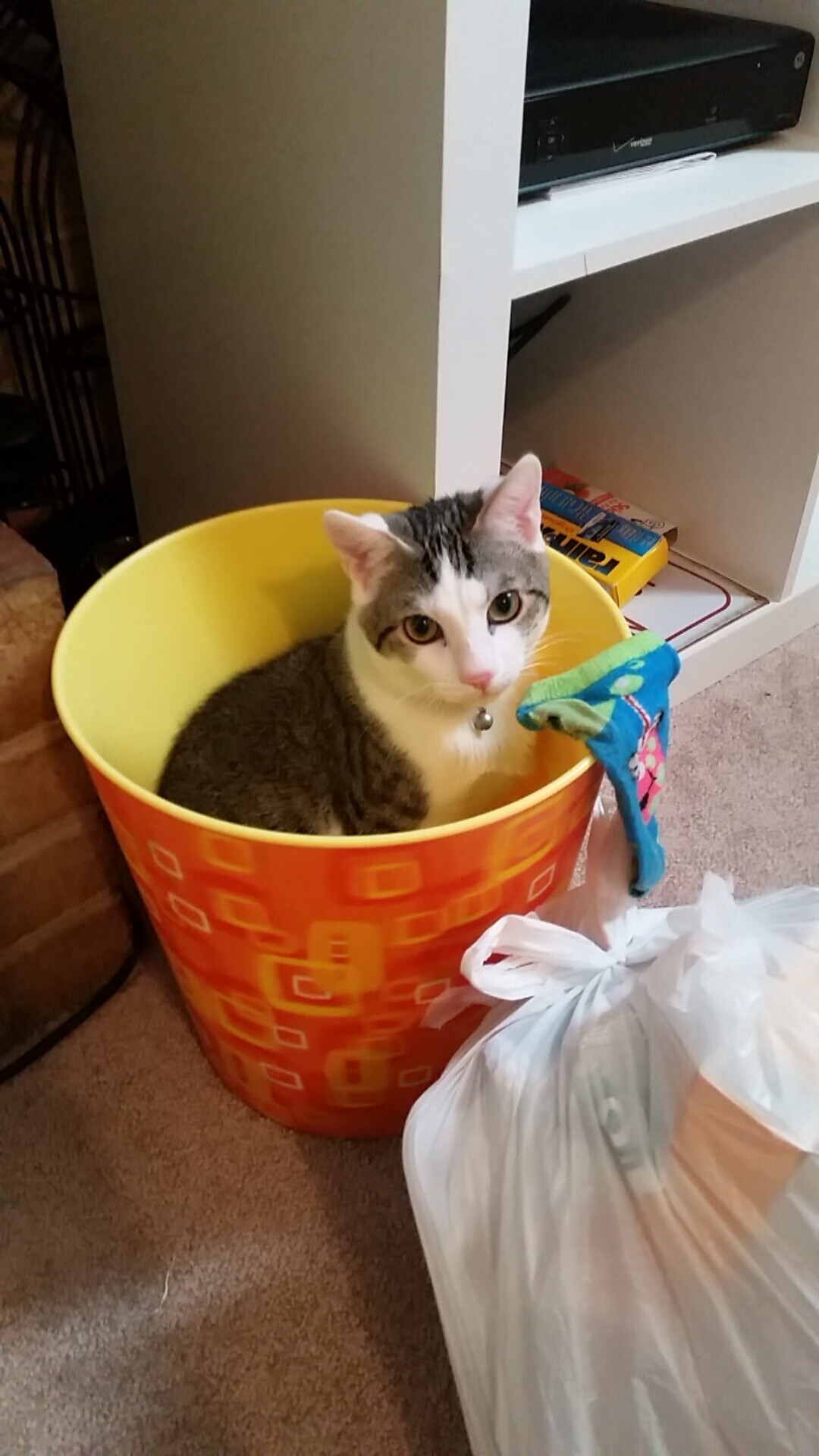 九游网游官网-运动会开幕式，精彩纷呈引爆全场，运动会开幕式全过程