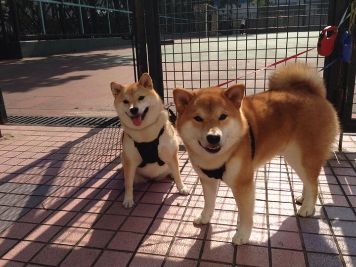 九游游戏中心官网-青少年“体育+创新”创业大赛在哈尔滨增强科技实力，推动产业升级