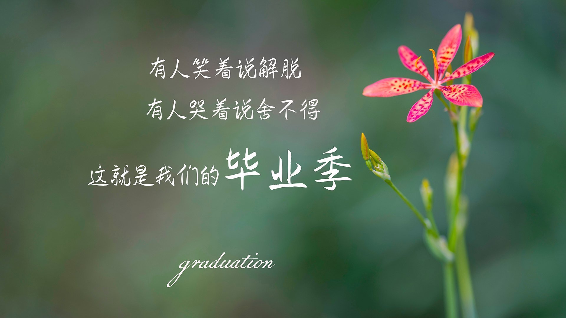 九游sports-上海海港连续多场保持零封，上海港封港了吗