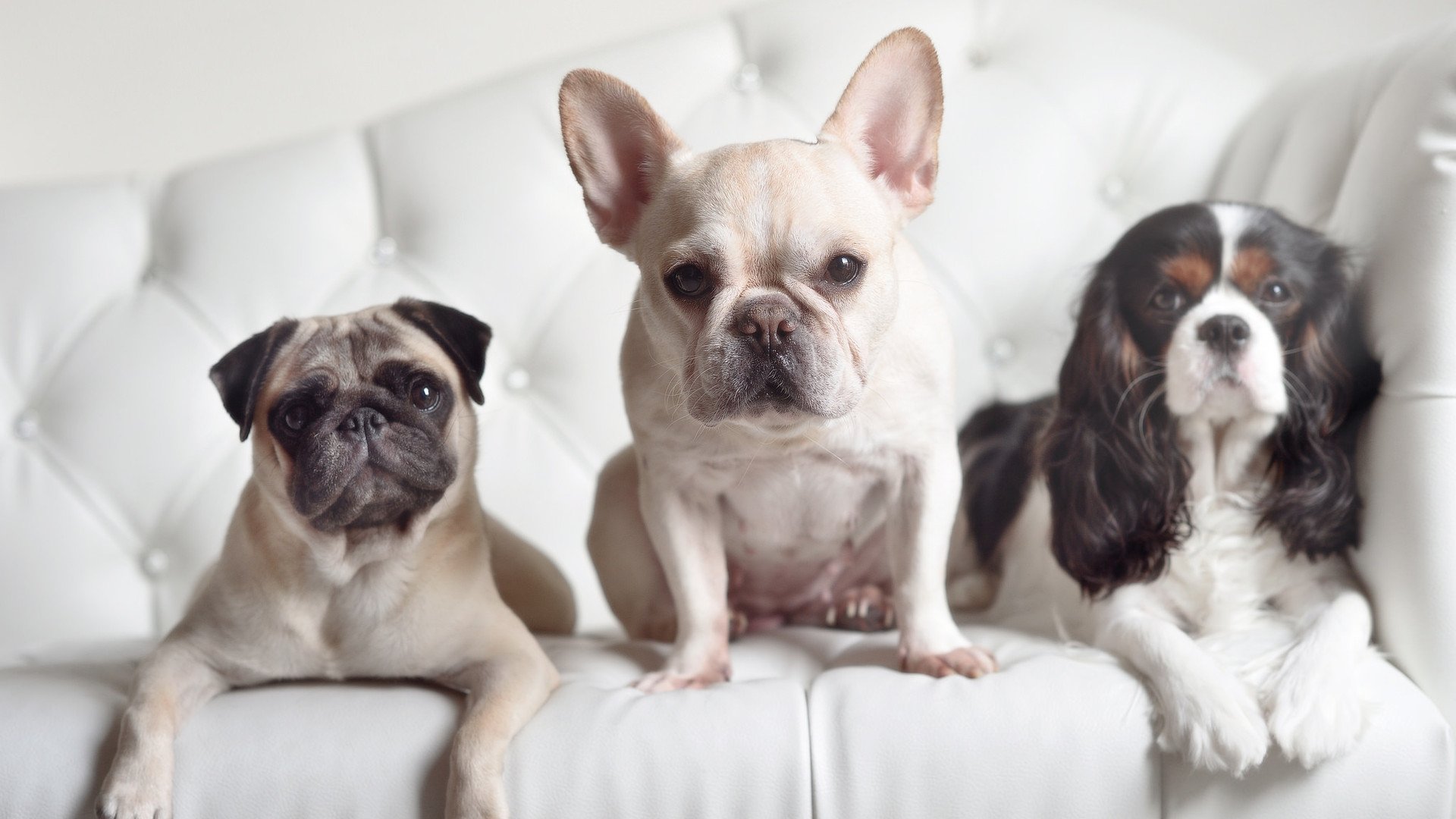 日本奥运足球队展现新一代风采,日本奥运足球队展现新一代风采的视频