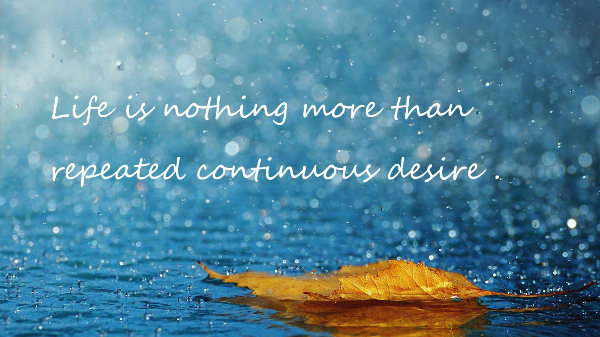 曼城4-1伯恩茅斯,进攻火力全开,曼城5-0伯恩利