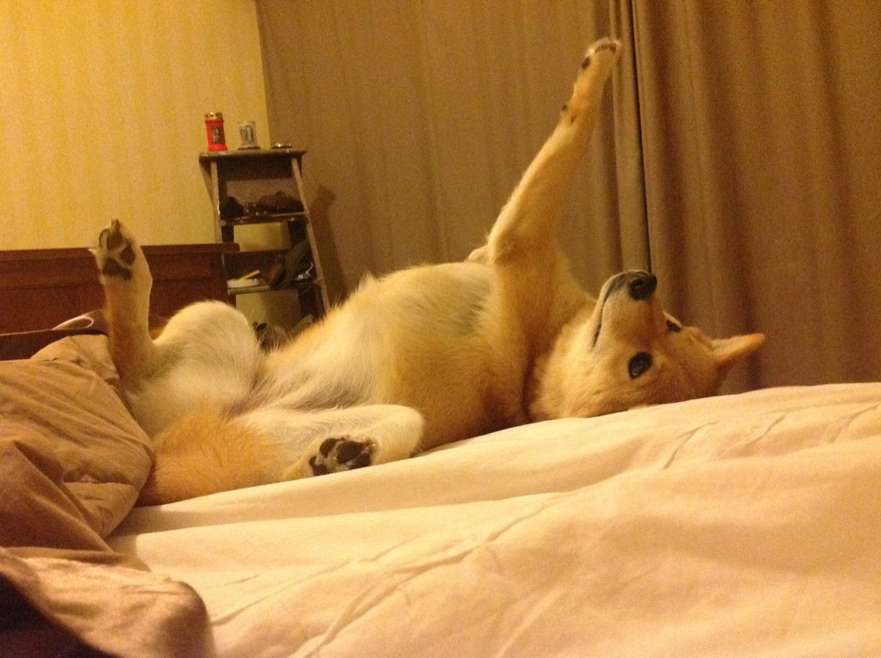 -中国青少年篮球运动员身体素质发展规律，篮球运动员身体素质标准