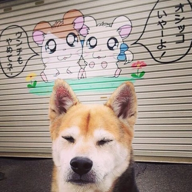 中国足球青少年训练方法探讨,中国青少年足球选拔机制