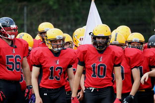 九游下载中心-中超球员年度射门类型结构分类，足球门将射门