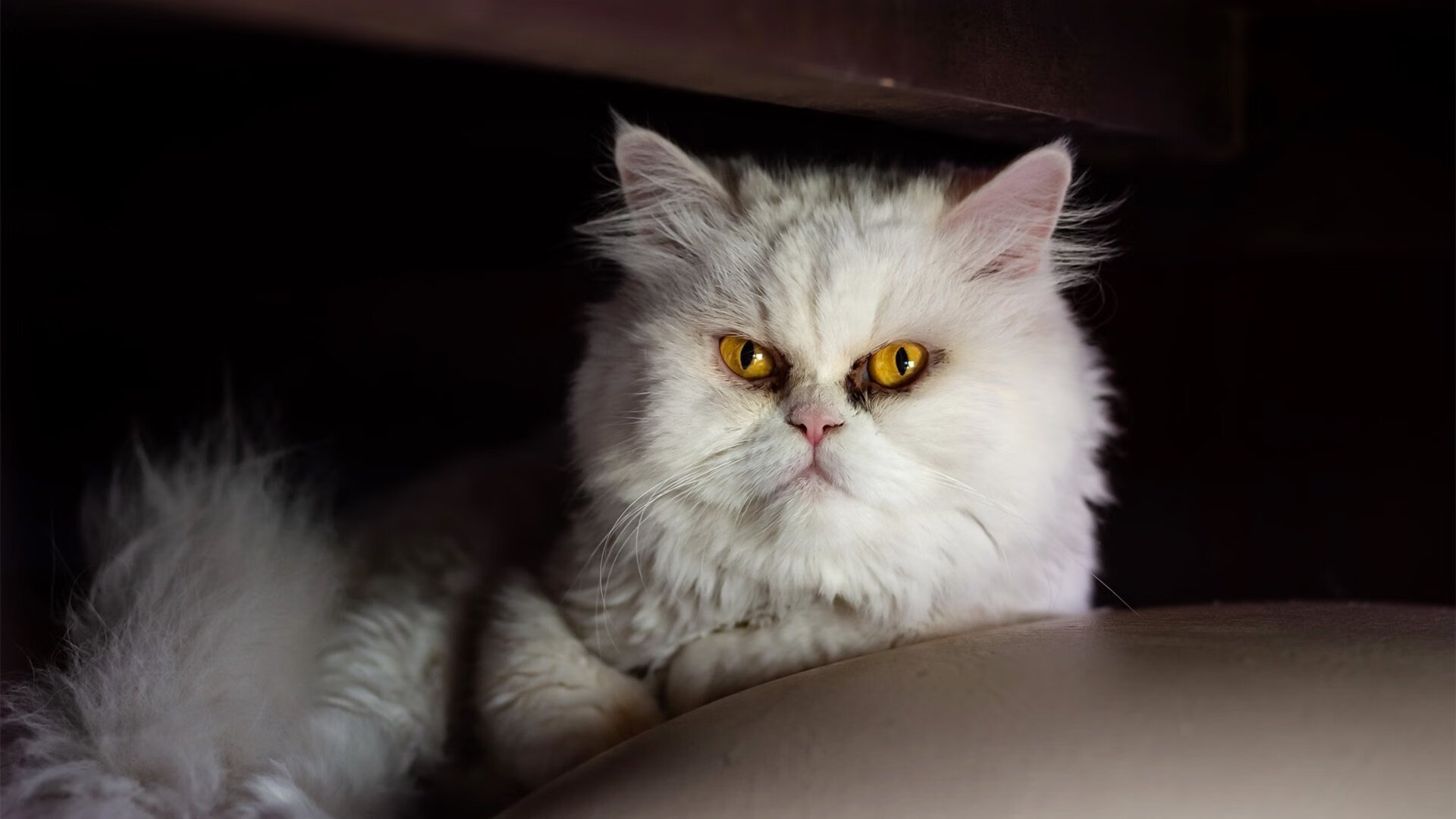 欧冠历史上最经典的十场比赛,你看过几场?,欧冠历史冠军榜