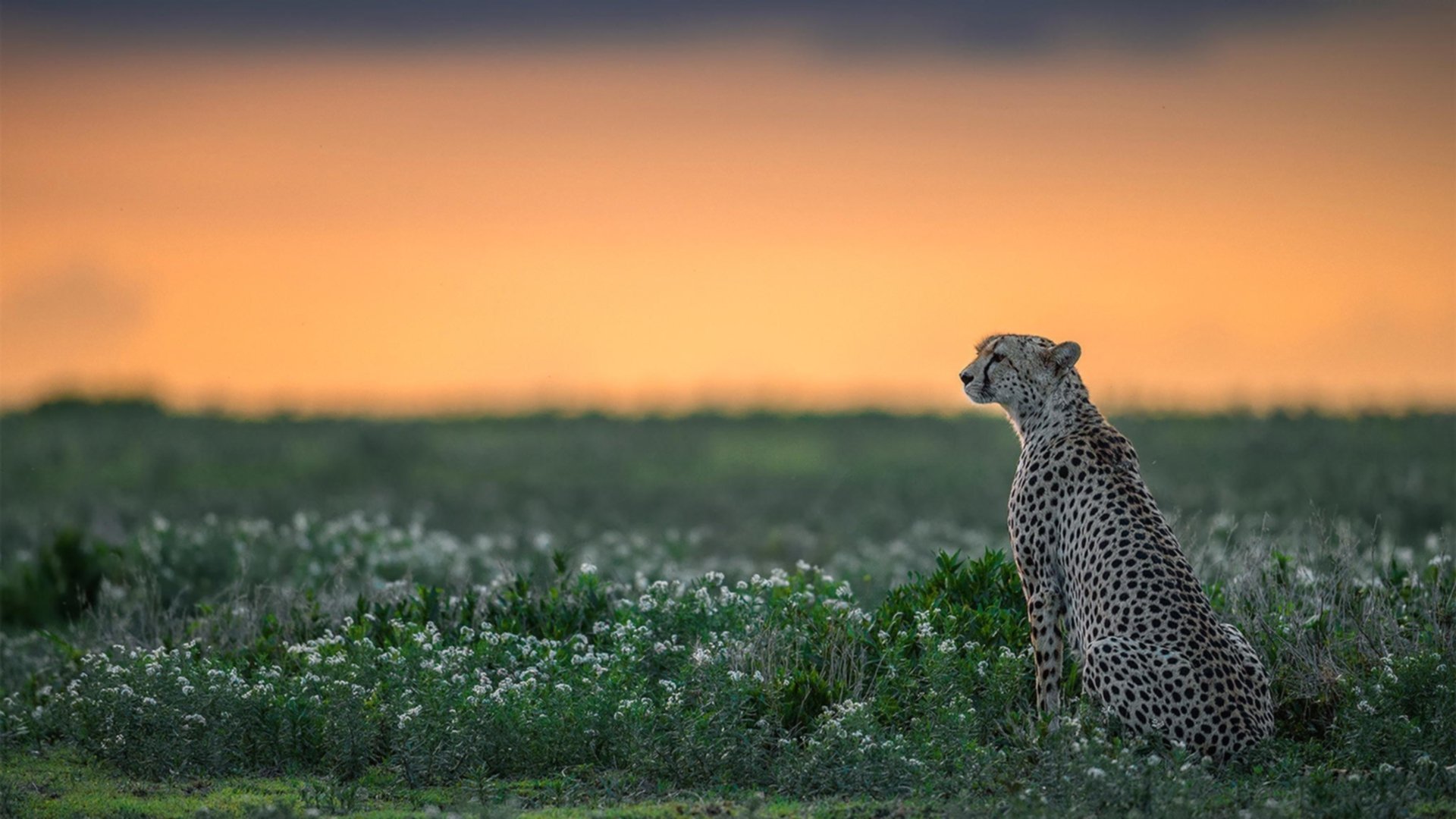 篮球专项技能训练方法创新与实践探索,篮球技能训练目标