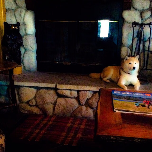 高校运动康复技术推广应用研究,运动康复专业学生技能大赛