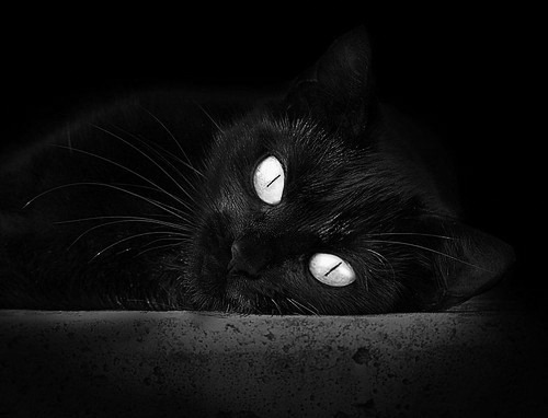 体育新闻中心开展体育短视频内容创作培训,如何创新体育短视频