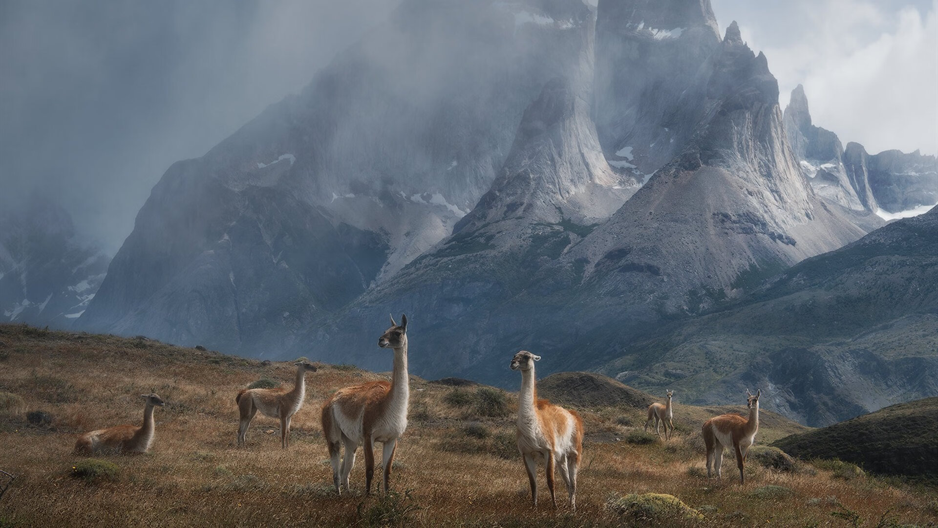 体育新闻中心建设体育音视频版权交易平台,体育新闻网站哪个最好