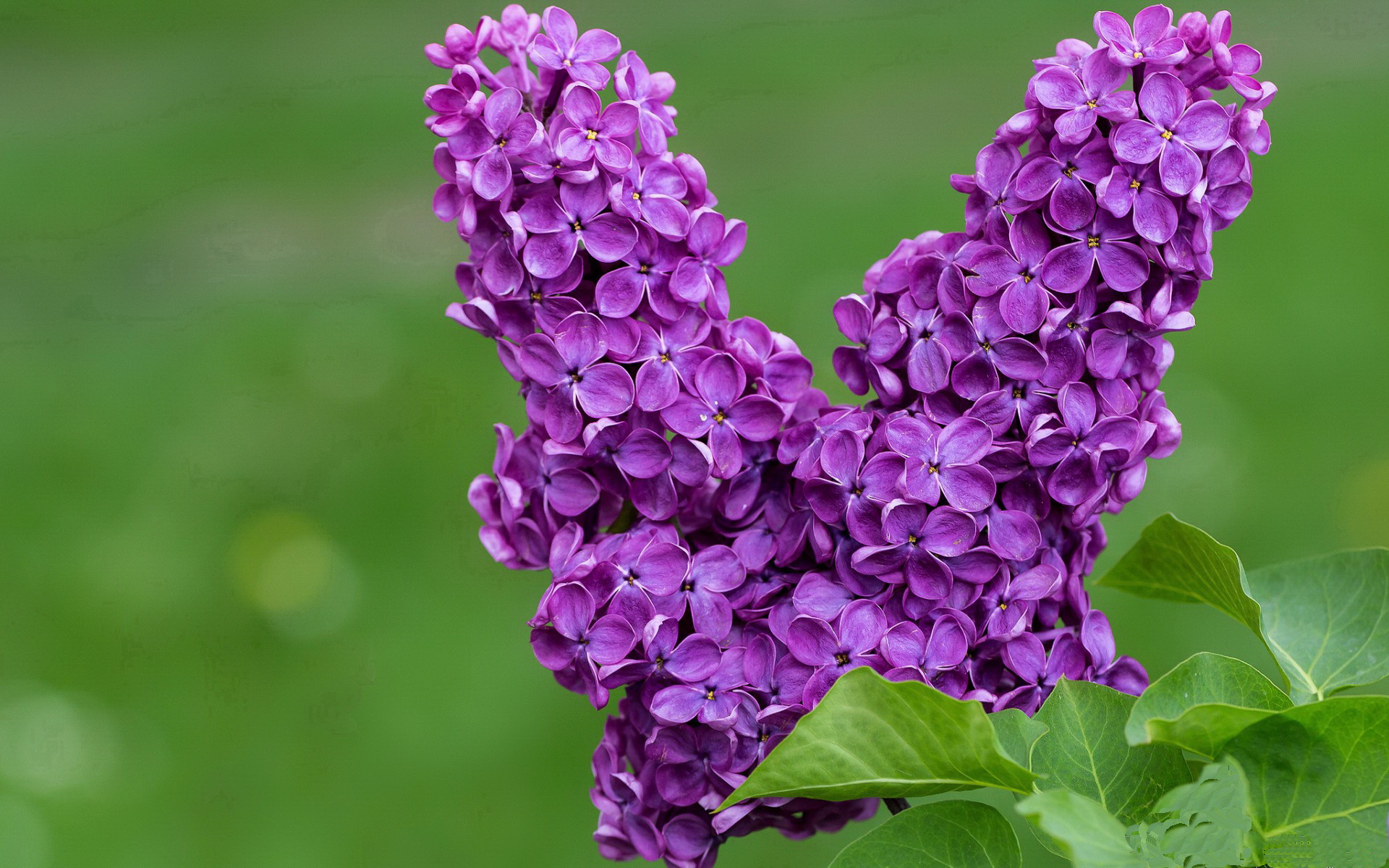 九游官网pc-教练组分析：中队或受压起跳慢半拍