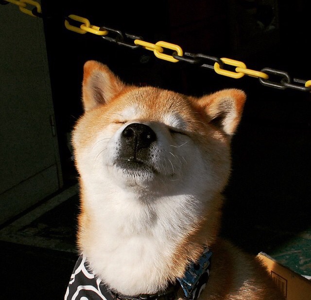 瑞典队突破极限,2024年混合团体世界杯赛场大展身手,瑞典国家队世界杯