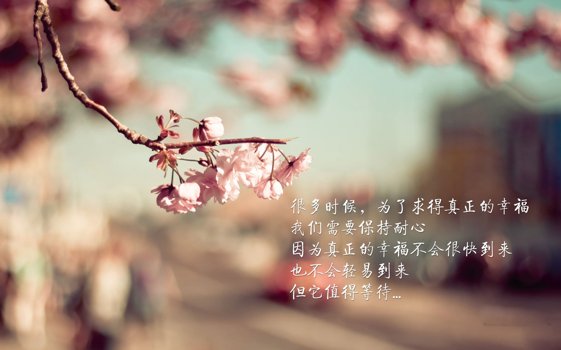 九游网-辽宁飞豹核心球员恢复训练备战决赛，辽宁飞豹吧 百度贴吧