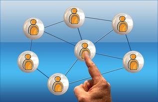 九游网页版入口-高校电竞联赛冠军诞生 战术与团队缺一不可，高校电竞联盟挑战赛全国总决赛