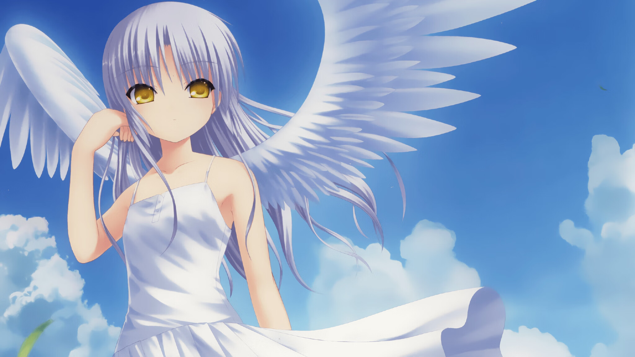 冬季两项运动员集训情况，冬季两项运动员集训情况分析