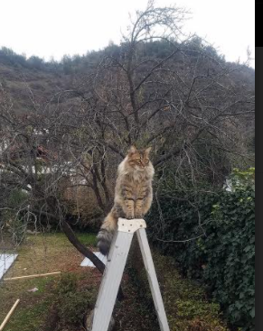 欧洲杯劲爆瞬间:开启心跳的瞬间纪实,播放一下欧洲杯的