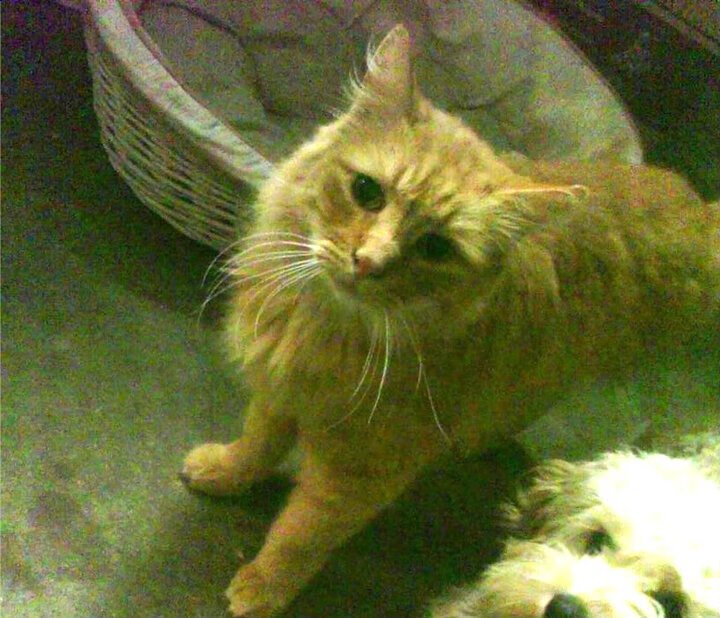 法甲攻城略地:团体合作绽放精彩!